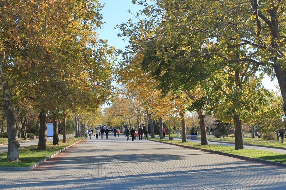 Главная аллея парка Победы в Севастополе до реконструкции Главная аллея парка Победы в Севастополе до реконструкции